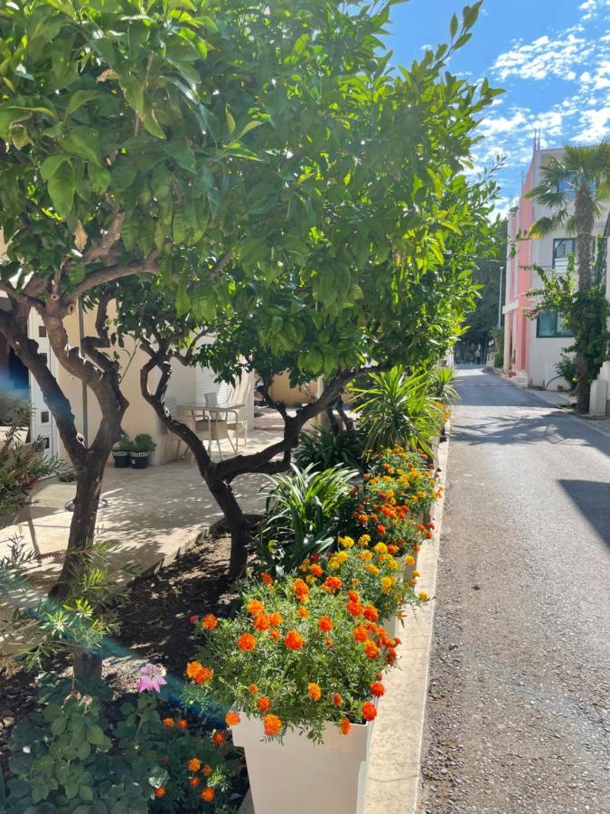 Lati Ulcinj
